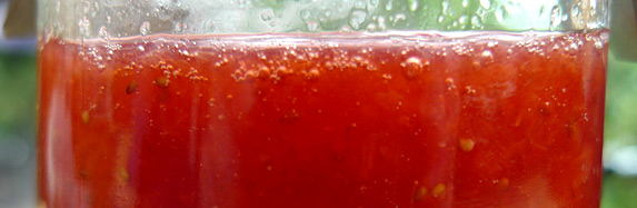 Meine Erdbeermarmelade ist eine Konfitüre