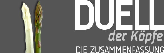 Duell der Köpfe. Die Zusammenfassung