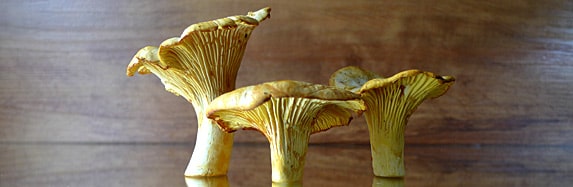 Die drei von der Waldlichtung