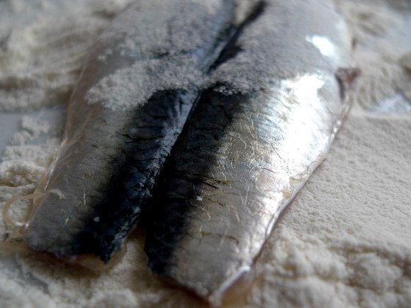 Sarde in saor. Sardinen süßsauer.