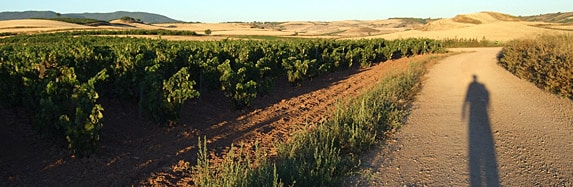 Der Weinbrunnen am Jakobsweg. Die Bodega