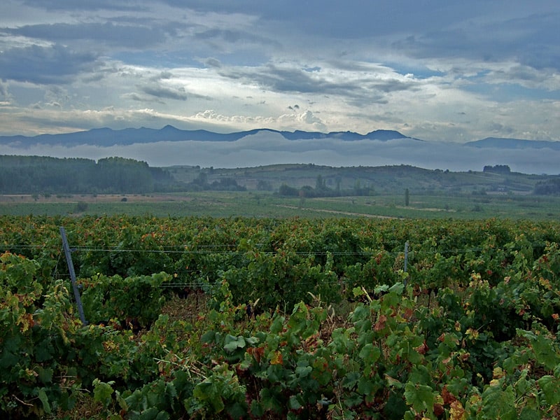 Auf dem Weg durch das Weinbaugebiet Rioja in Spanien. Aber nicht jeder bietet gleich einen Weinbrunnen am Jakobsweg an.