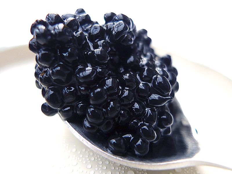 Küsten Caviar Ersatz. Caviar-Ersatz aus Algen