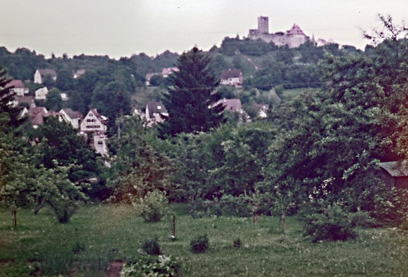 Blick auf die Burgthanner Burg
