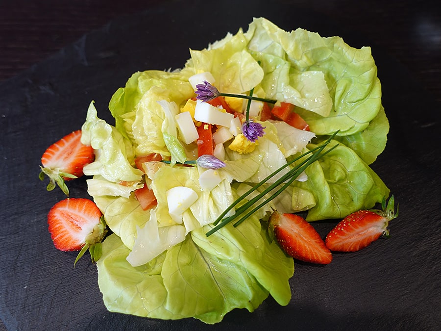 Vinaigrette - Salat mit Hausdressing