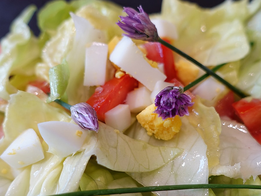 Vinaigrette - Salat mit Hausdressing