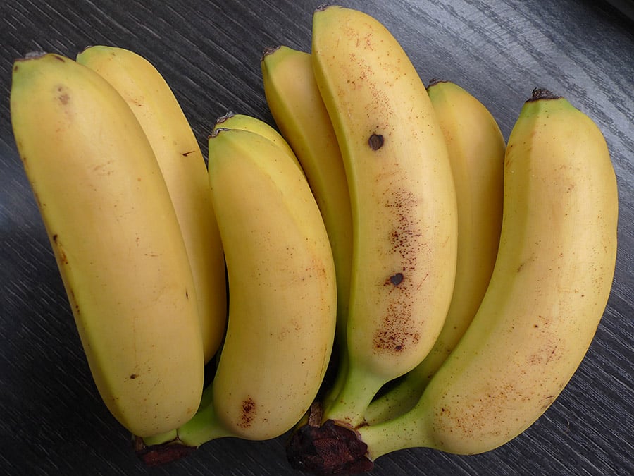 Gegrillte Bananen in Kokosmilch-Karamell - Foto: Mini-Bananen