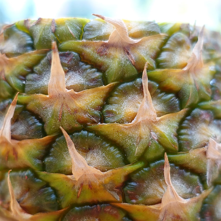 Die Schönheit der Ananas liegt im Detail