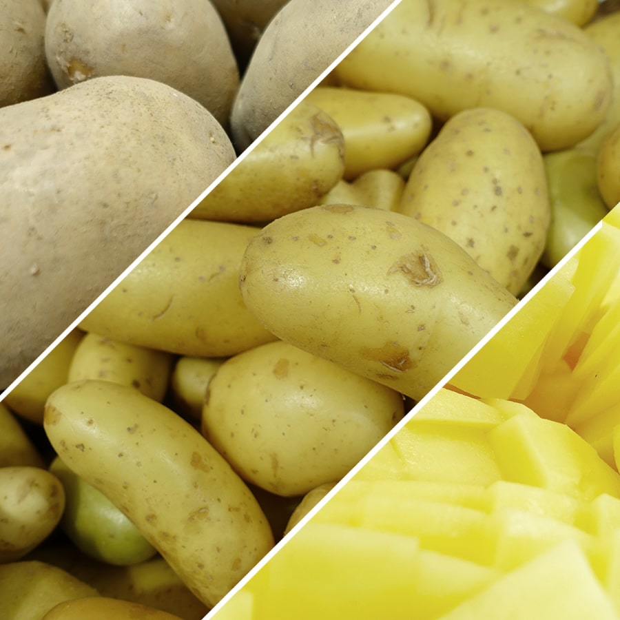 Kartoffeln für unsere würzige Kartoffelsuppe