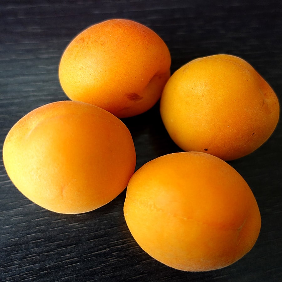 frische Aprikosen - keine Fakenews im Foodblog