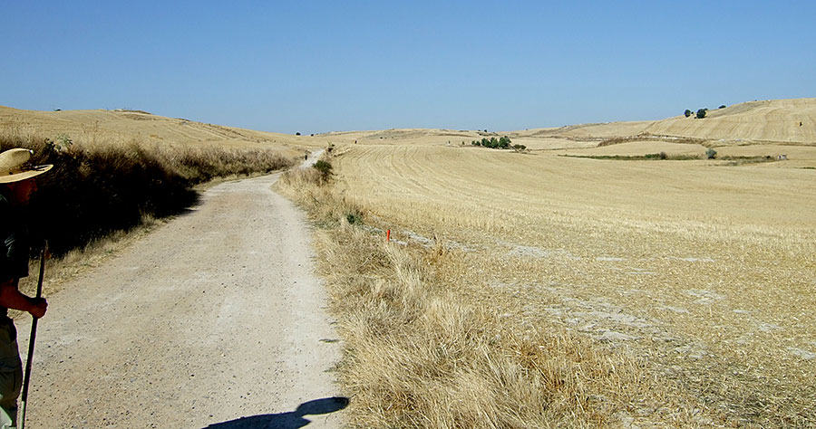 von Burgos nach Hontanas (30 km) am 8. September 2007