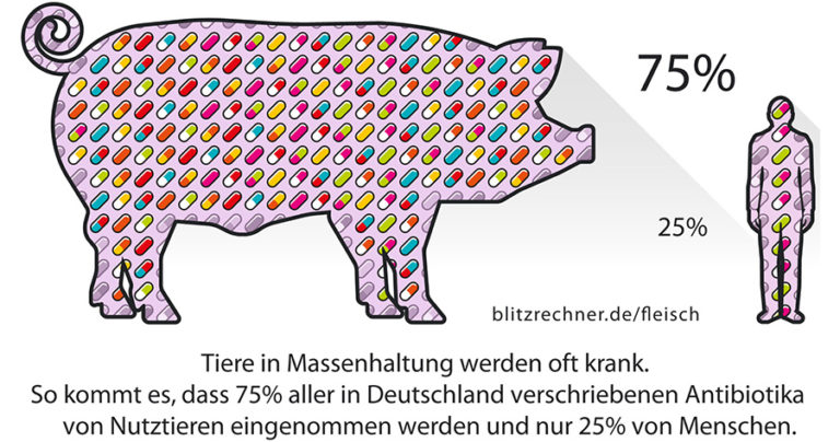 Darf Man Fleisch Essen Bei Antibiotika aus-meinem-kochtopf.de