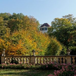 Im Park von Schloss Seußlitz