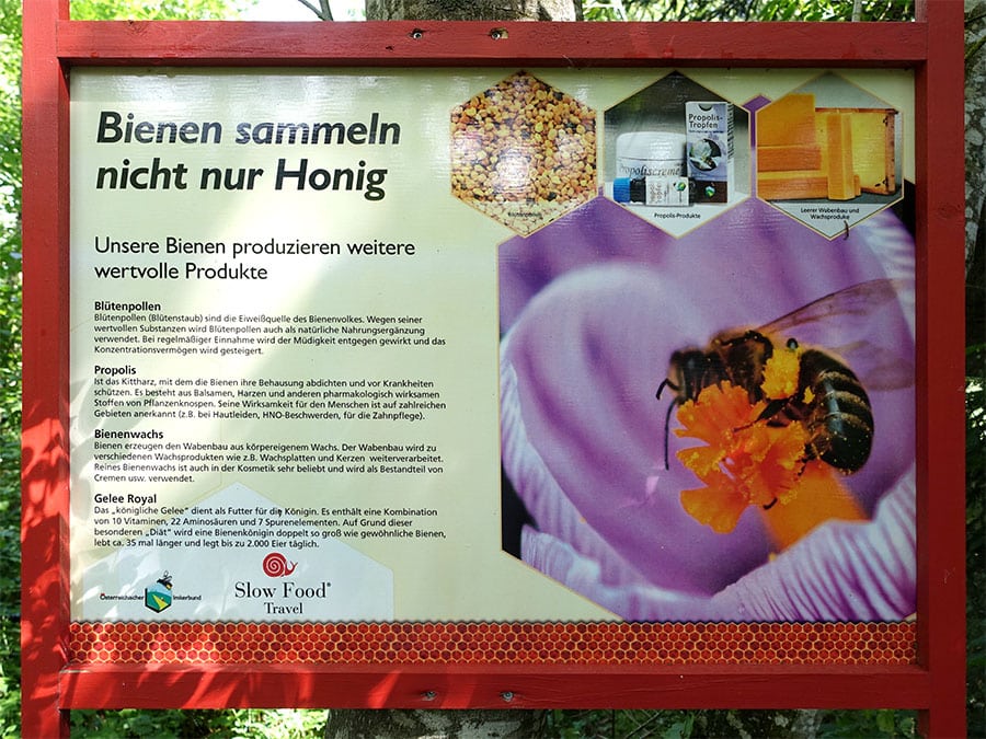 zu Gast beim Imker. Bienen sammeln nicht nur Honig