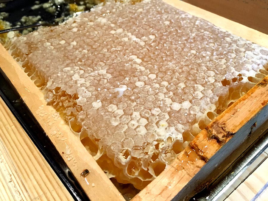 Bienenhonig in der Wabe im guten Hotel - Honig vom Imker